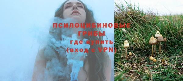 гидропоника Бородино