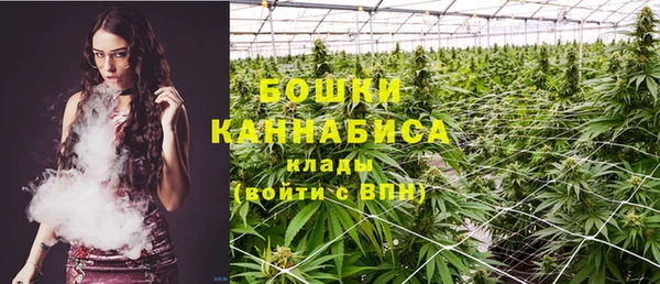 гидропоника Бородино