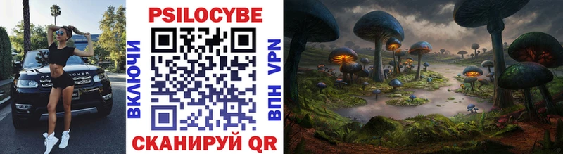 blacksprut как войти  Обь  Псилоцибиновые грибы Psilocybe 
